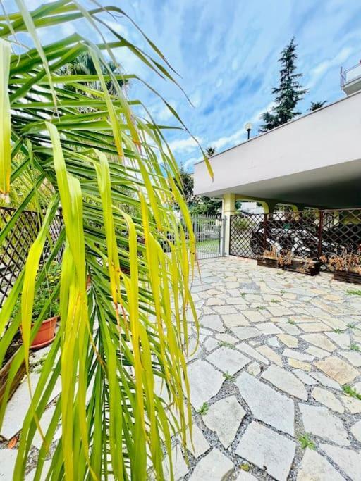Suite Dei Fiori - Luxury Open Space San Remo Exterior foto